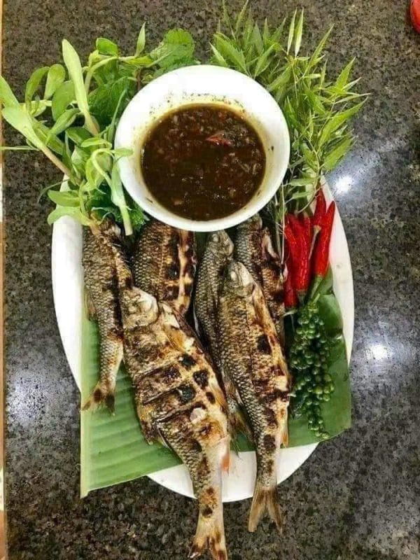 Cá Niên Suối