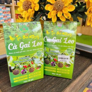 Trà Túi Lọc - Cà Gai Leo Rau Má
