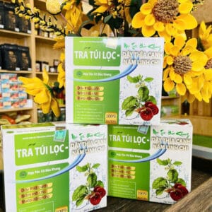 Trà Túi Lọc Dây Thìa Canh - Nấm Linh Chi