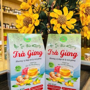 Trà túi lọc trà gừng 200g